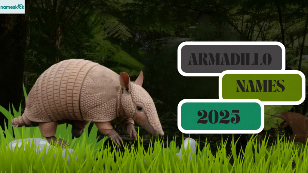900+ Creative and Unique Armadillo Names 2025