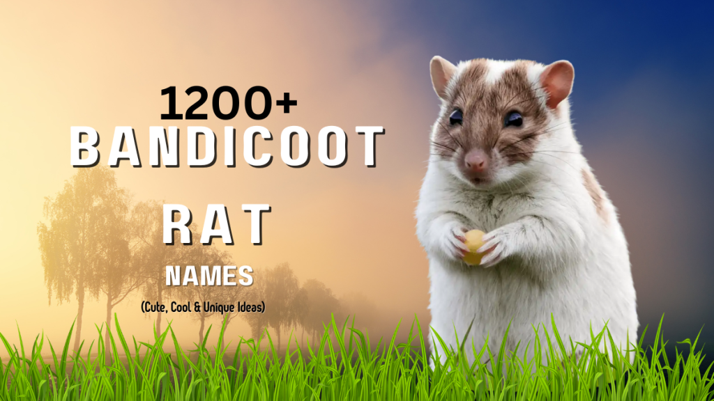 1200+ Bandicoot Rat Names: Cute, Cool & Unique Ideas 2025