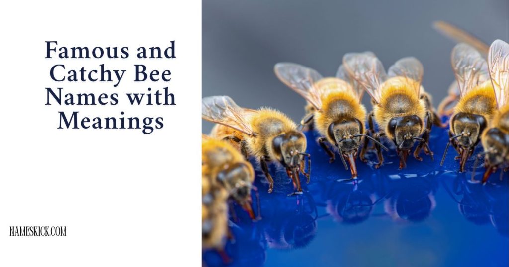 Famous and Catchy Bee Names with Meanings
