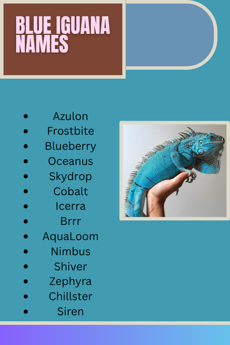 Blue Iguana Names
