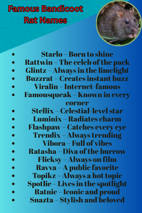 Famous Bandicoot Rat Names