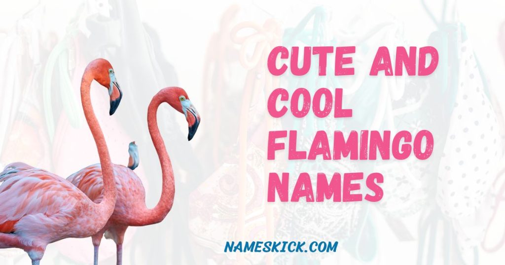 Cute and Cool Flamingo Names