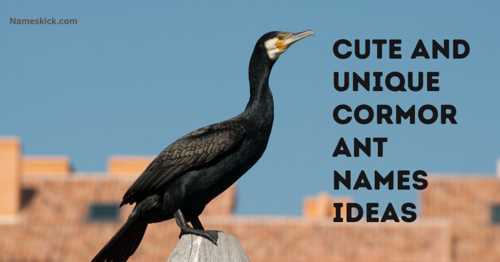 Cute and Unique Cormorant Names Ideas