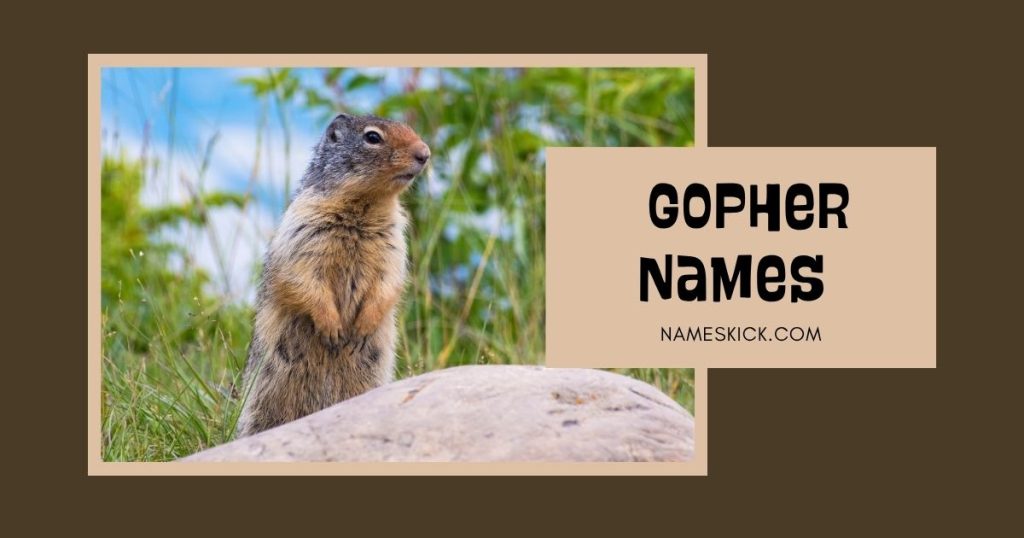Funny and Cool Gopher Names Best Ideas