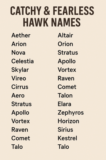 1010+ Catchy & Fearless Hawk Names with Meanings 2025 - Names Kick
