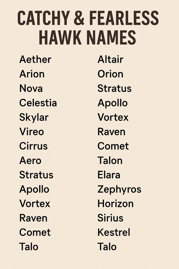 Catchy & Fearless Hawk Names with Meanings