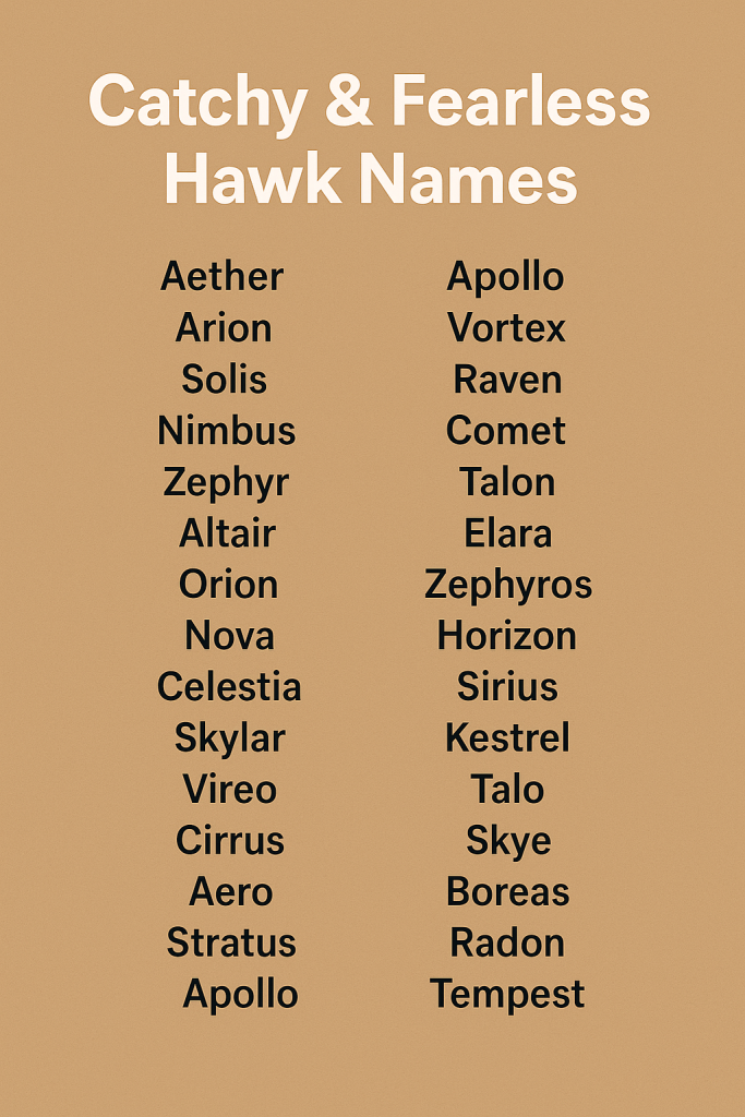 Catchy & Fearless Hawk Names with Meanings
