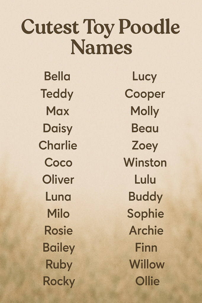 500+ Cutest Flemish Giant Names 2025