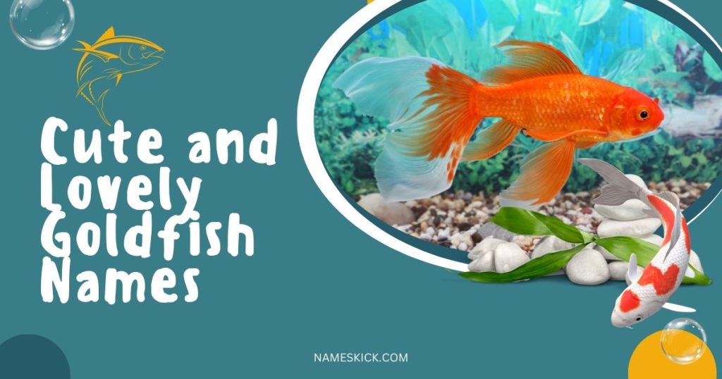 Cute and Lovely Goldfish Names