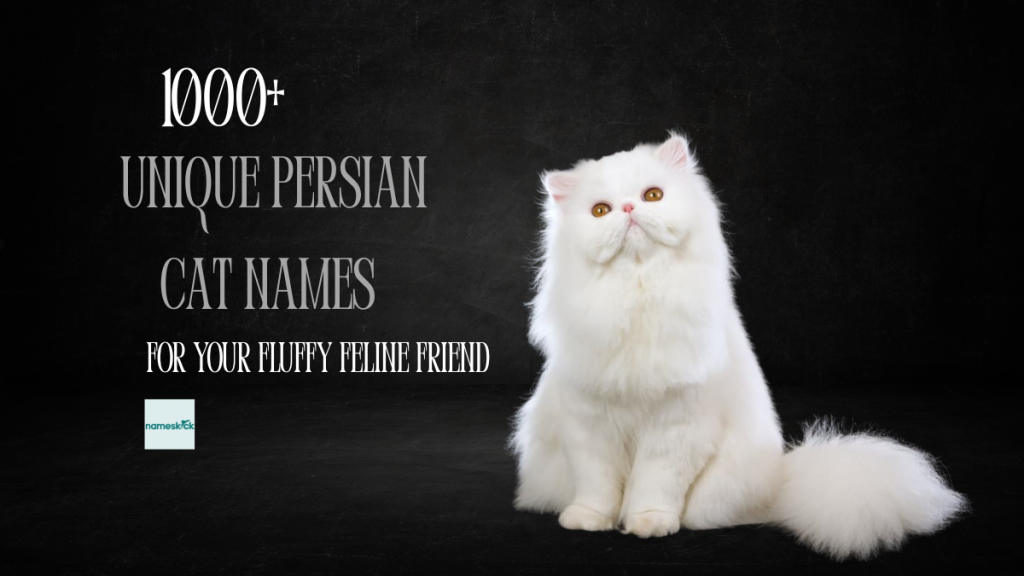 1000+ Unique Persian Cat Names for Your Fluffy Feline Friend