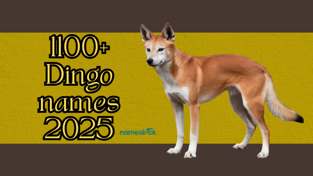 1100+ Unique and Cute Dingo Names to Suit Your Wild Companion 2025