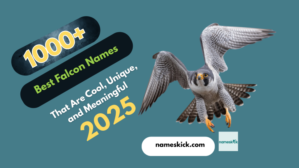 1000+ Best Falcon Names That Are Cool, Unique, and Meaningful 2025
