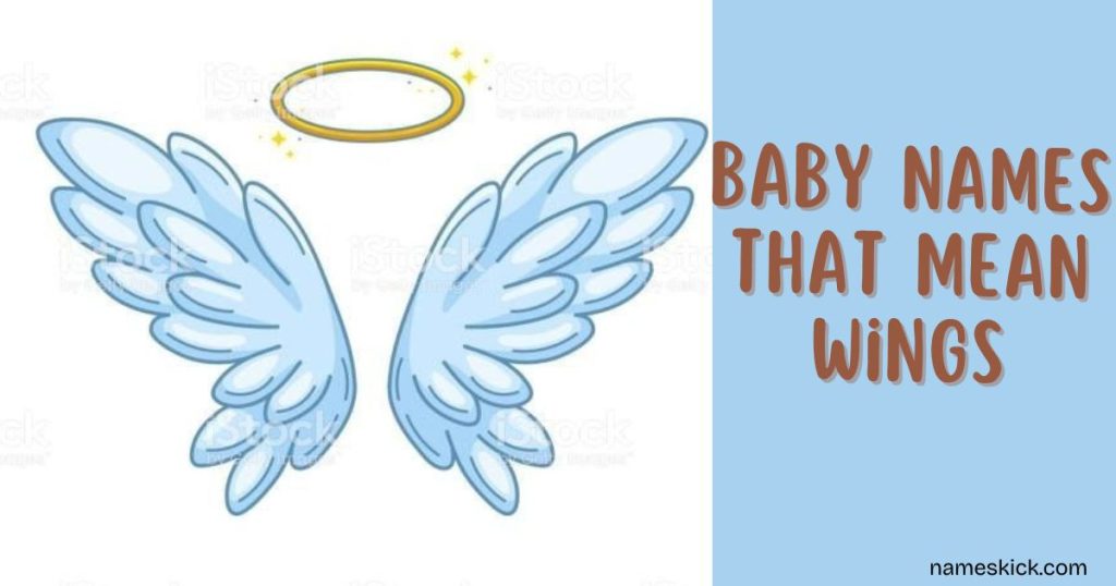Baby Names That Mean Wings