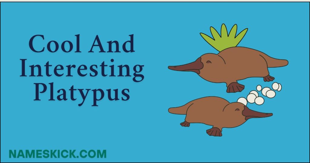 Cool and Interesting Platypus Names
