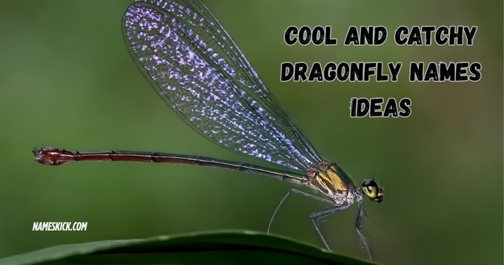 Cool and Catchy Dragonfly Names Ideas