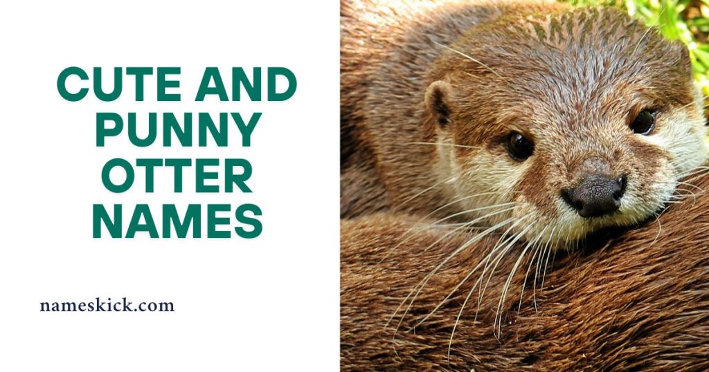 Cute and Punny Otter Names [Meaningful Ideas]