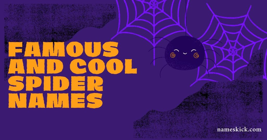 Famous and Cool Spider Names [Meaningful Ideas]