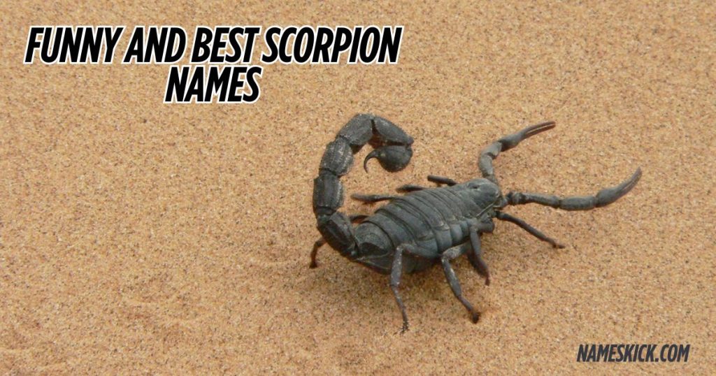 Funny and Best Scorpion Names
