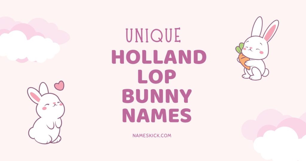 Unique Holland Lop Bunny Names [Meaningful Ideas]