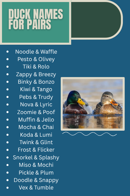Duck Names for Pairs