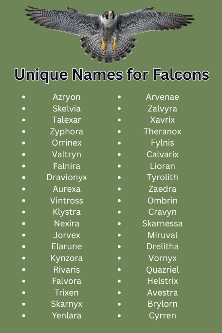 Unique Names for Falcons