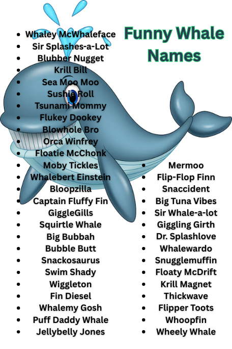 Funny Whale Names