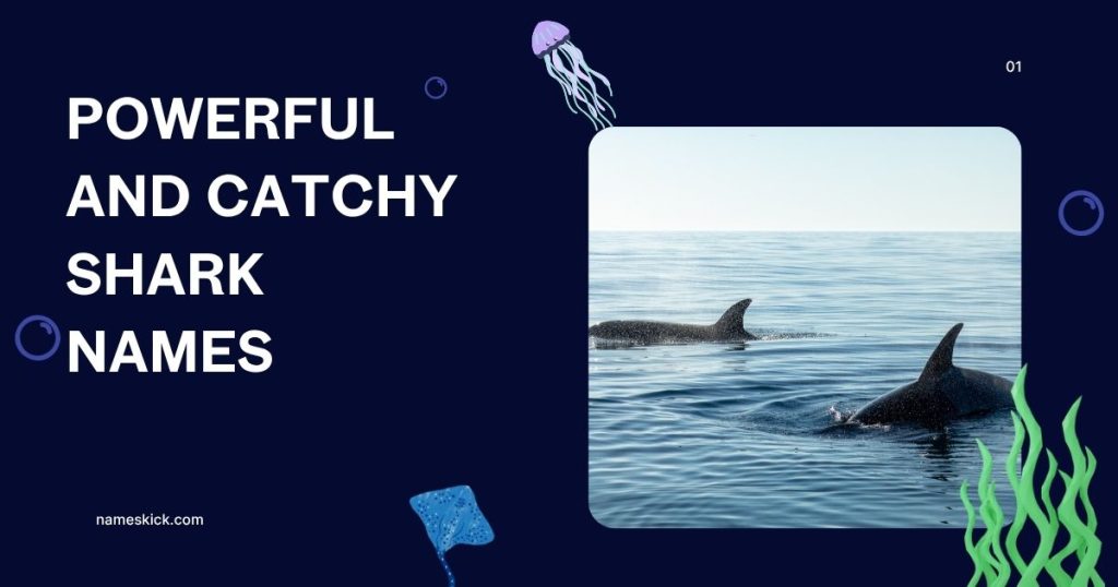 Powerful and Catchy Shark Names [Best Ideas]