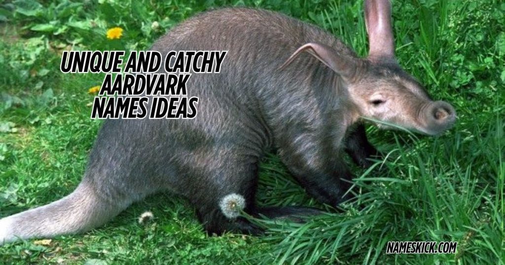 Unique and Catchy Aardvark Names Ideas