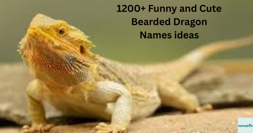 1200+ Funny and Cute Bearded Dragon Names ideas