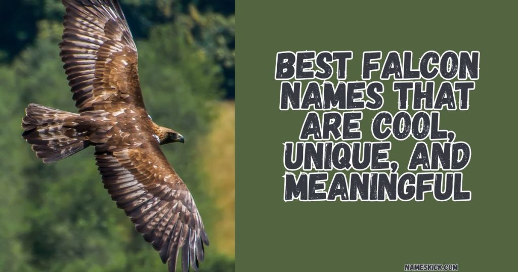 Best Falcon Names That Are Cool, Unique, and Meaningful