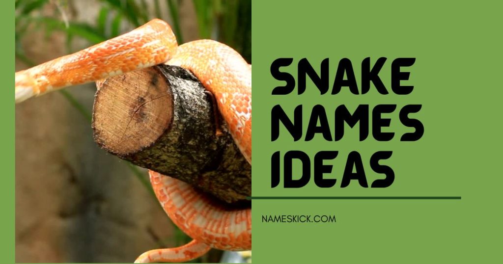 Famous Corn Snake Names Ideas