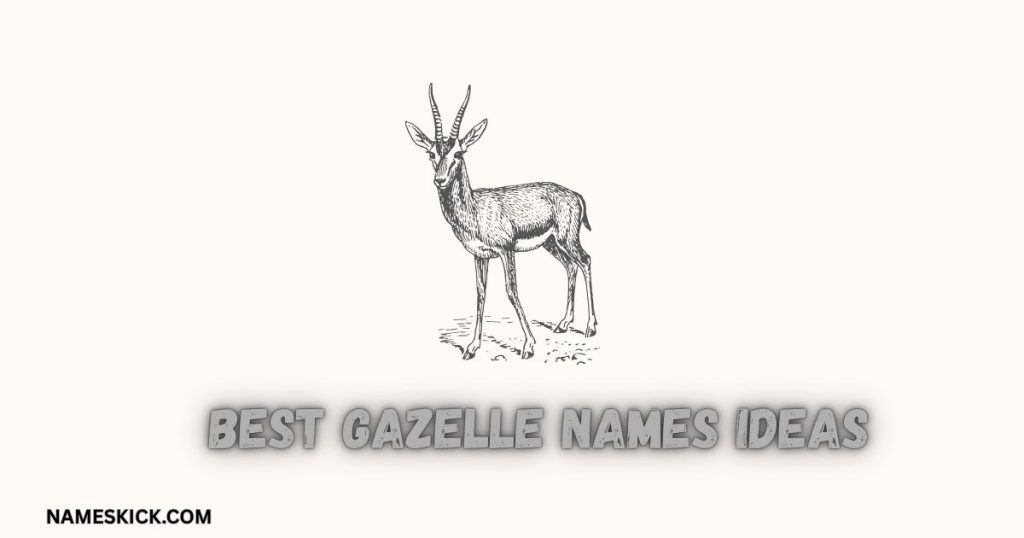 Best Gazelle Names Ideas