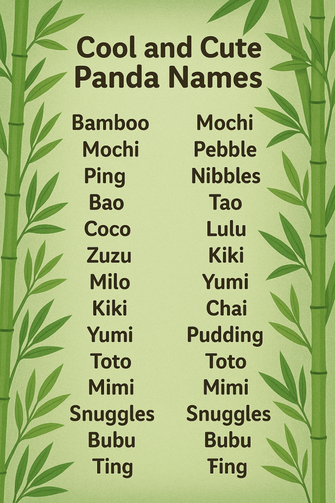 500+ Cool and Cute Panda Names [Best Ideas]