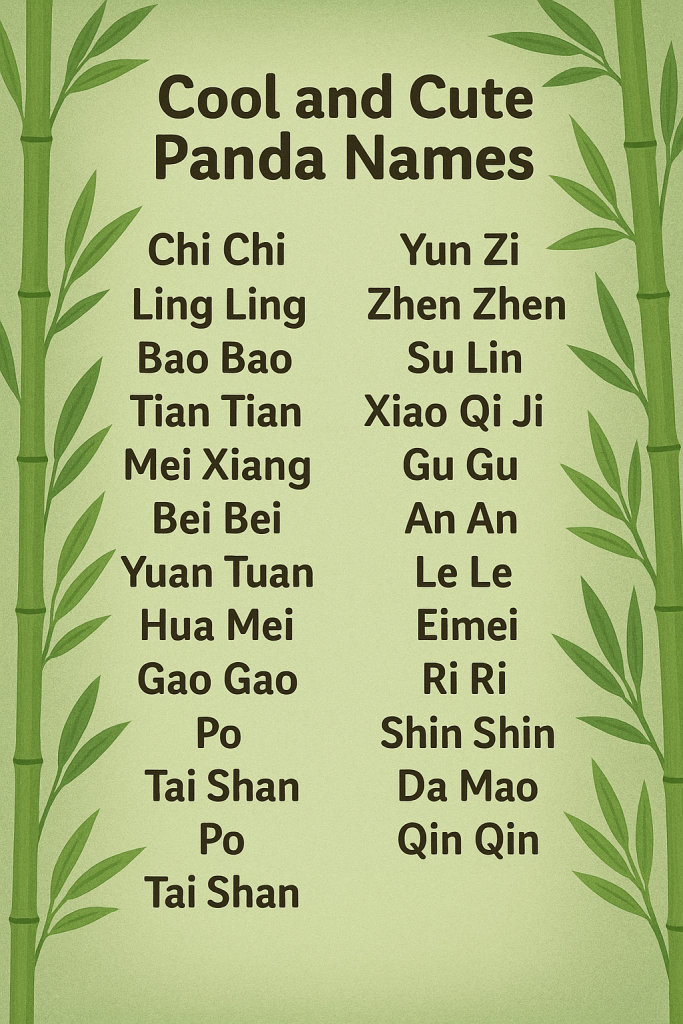 500+ Cool and Cute Panda Names [Best Ideas]