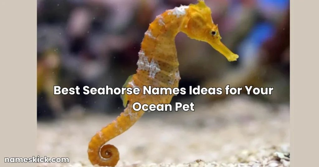 800+ Best Seahorse Names Ideas for Your Ocean Pet Best Seahorse Names Ideas for Your Ocean Pet