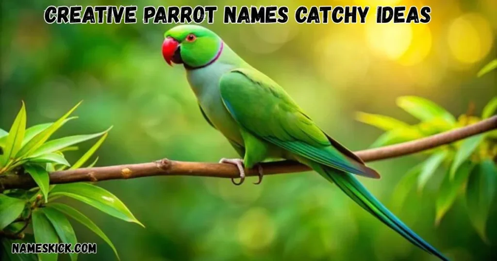 1000+ Creative Parrot names catchy Ideas Creative Parrot names catchy Ideas