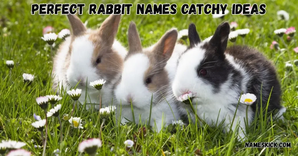 Perfect Rabbit Names Catchy Ideas