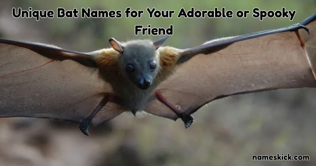 900+ Unique Bat Names for Your Adorable or Spooky Friend Unique Bat Names for Your Adorable or Spooky Friend