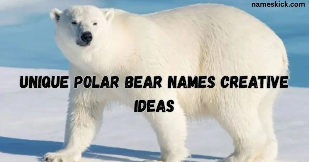 Unique Polar Bear Names Creative Ideas